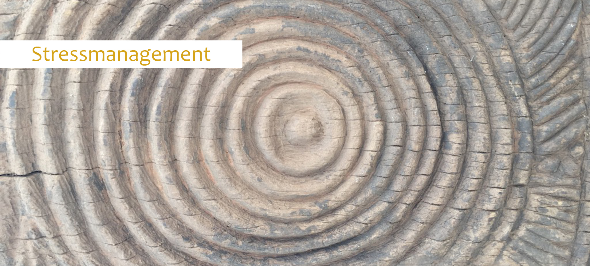 03 Stressmanagement mit Claim dieses Bild Zeigt ein Holz mit konzentrischen Kreisen – Stressmanagement